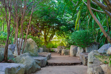 Rock gardens and walkways. Landscaping with trees lined the walkway outside the building.