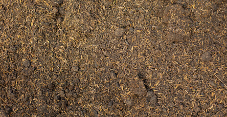 Soil for planting. Rice husk mixed with soil and manure. Soil preparation for agriculture.