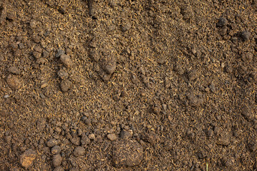Soil for planting. Rice husk mixed with soil and manure. Soil preparation for agriculture.