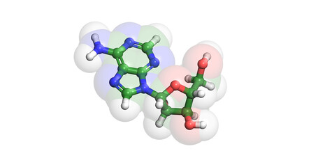 Vidarabine, herpes drug, 3D molecule