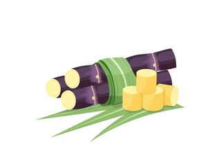Vector illustration of sugarcane, isolated on white background, suitable as a packaging label for processed sugarcane products.