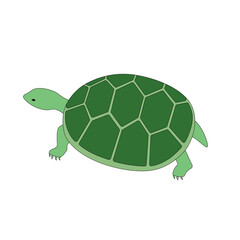 ミドリガメのベクターイラスト