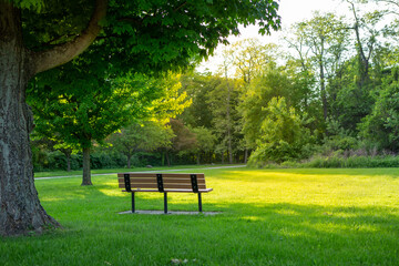 bench in the park, un beam across the grass