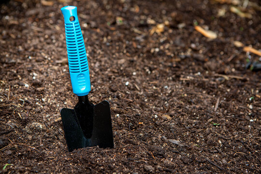 Small Garden Shovel In Soil 