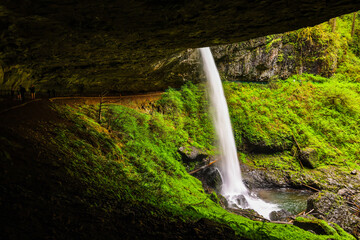 waterfall in the woods