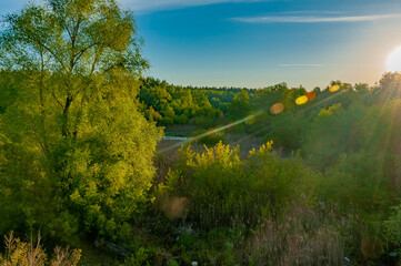 Morning forest in Samarskaya Luka National Park on a hot June morning! Taken with Nikon D70, D200, D300S cameras! Samarskaya Luka is a unique natural corner of our planet, because many endemic plants 