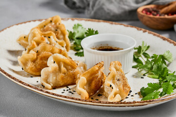 Oriental food - fried gyoza with sauce. Gyoza with pork in ceramic plate on gray concrete background.  Shrimp gyoza in minimal style. Aesthetic food menu.