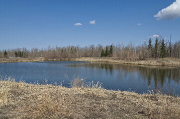 Pylypow Wetlands on an Early Spring Day
