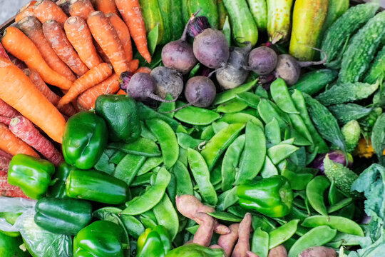 View from top, fresh green vegetables , agricultural products of Sikkim , India. Carrot, capsicum, beetroot, bittergourd, broad beans in a single colourful frame. Vegetable stock image.