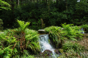 熊本県阿蘇郡の池山水源