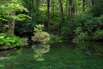 熊本県阿蘇郡の池山水源