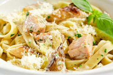 Traditional Italian lunch - pasta fettuccine with chicken and mushrooms with parmesan cheese. Creamy pasta with mushroom and chicken. Chicken and mushroom in cream sauce with homemade pasta.
