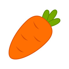 Carrot isolated on white background. Vector illustration