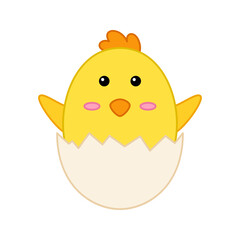 Chick isolated on white background. Vector illustration