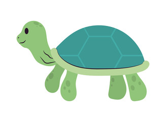 cute turtle icon