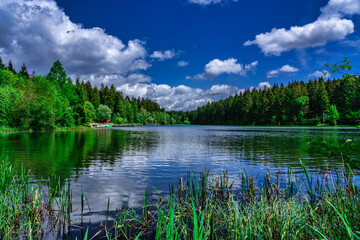 Obraz na płótnie Canvas Kuttelbacher Teich im Harz