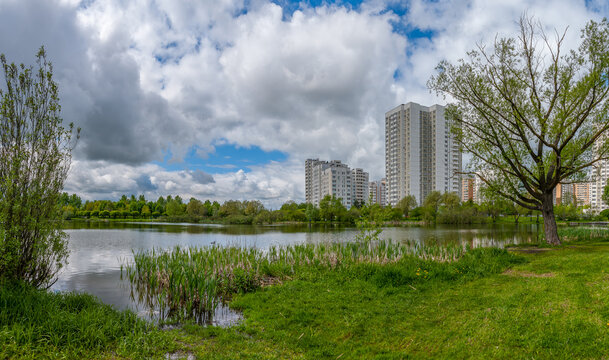 In the city park of the Yuzhnoye Butovo microdistrict_