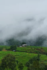 Fotobehang Green rice terrace fields and mountain background in rainy season. © nomadnes