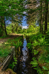 Zellerfelder Kunstgraben