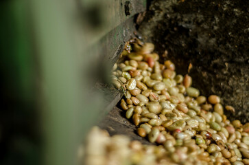 Colombia, sus colores y aromas