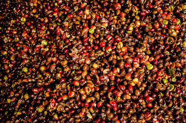 Colombia, sus colores y aromas