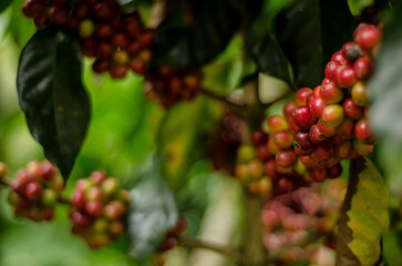 Colombia, sus colores y aromas