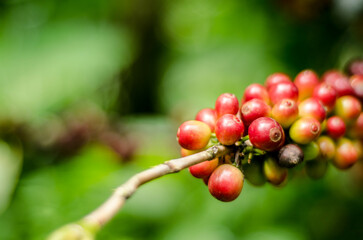 Colombia, sus colores y aromas