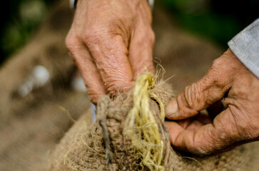 Colombia, sus colores y aromas