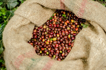 Colombia, sus colores y aromas