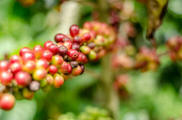 Colombia, sus colores y aromas