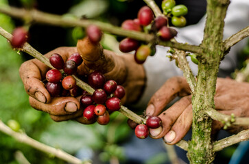 Colombia, sus colores y aromas
