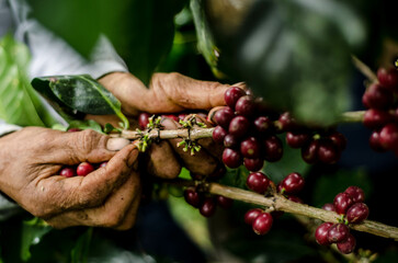Colombia, sus colores y aromas