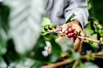 Colombia, sus colores y aromas