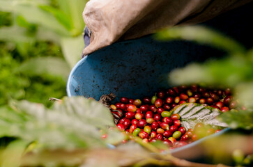 Colombia, sus colores y aromas