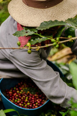 Colombia, sus colores y aromas