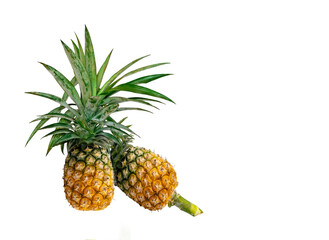 Image of fresh ripe pineapple fruit on white background with copy space for your text,  sweet Tasty raw whole tropical fruit, healthy food concept