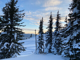 Winter postcard canada