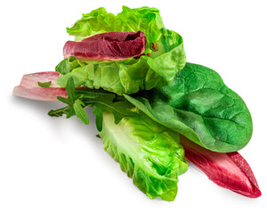 Various Salad Leaves isolated on white background.
