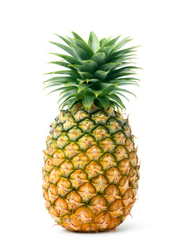 Pineapple isolated on white background. Clipping path.
