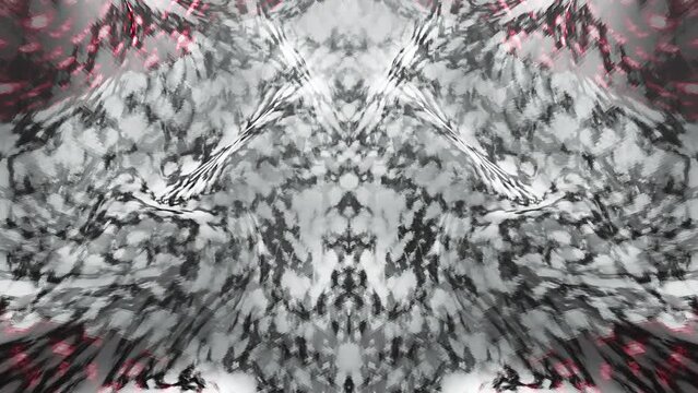 Abstract grunge symmetric black and white alien pattern fluid flow transition background. 4K visual video effects footage Ink transition black and white transform for Transition 