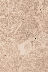 Ghost crab hole on sand beach with small natural sand balls.