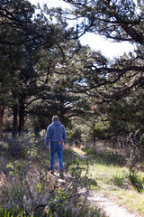 Fototapeta premium person in the woods