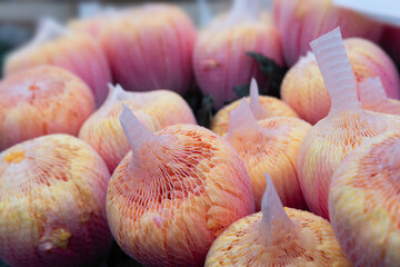 A biodegradable net around Chrysanthemum flowers to fight against plastic. Sustainable packaging....