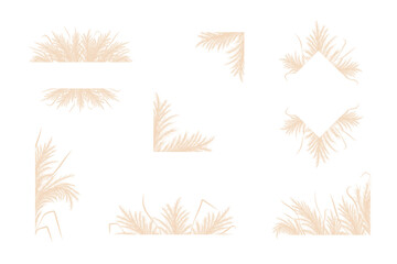 Dry pampas grass. Set of floral border frames design. Beige cortaderia in boho style. Vector flowers isolated on white background. Trendy templates for invitations, postcards, social media, stickers. - obrazy, fototapety, plakaty