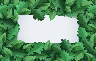 Spring summer banner with green foliage. Vector cartoon poster with blank white copy scape and frame of green leaves. Template of greeting card, season sale flyer