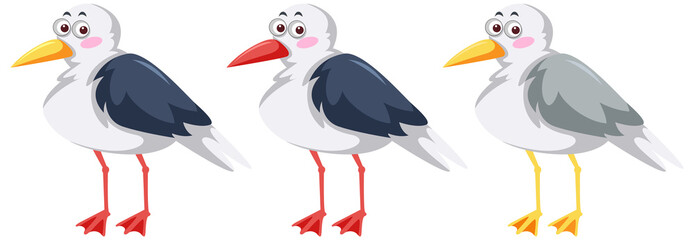 Three seagull birds in cartoon style