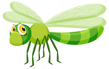 Cute dragonfly isolated on white background