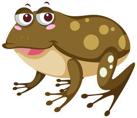 A frog cartoon on white background