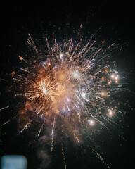 fireworks in the night sky