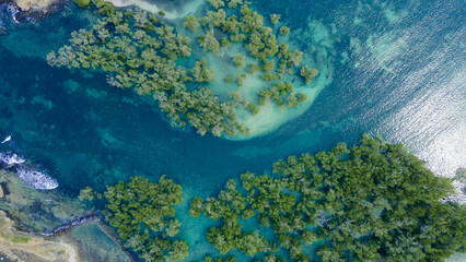 Aerial view of Mangrove forest, Mandalika surrounding area seascape aerial view